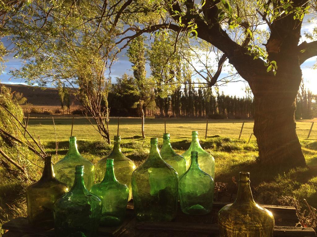 Bed and Breakfast Estancia Santa Thelma Casa Riera Екстер'єр фото